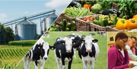 Agribusiness